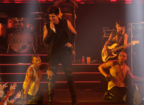 Fan Việt phát cuồng vì Adam Lambert - 2