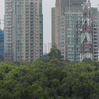 Tài chính - Bất động sản - Doanh nghiệp địa ốc “chơi bài ngửa”