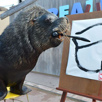 Tin tức trong ngày - Ảnh đẹp: Sư tử biển viết thư pháp