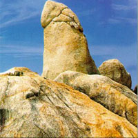 Phi thường - kỳ quặc - Bề ngoài có thể phản ánh kích thước "cậu nhỏ"?