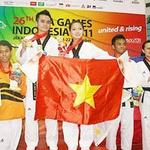 Thể thao - TTVN năm 2013: Trọng tâm là SEA Games 27