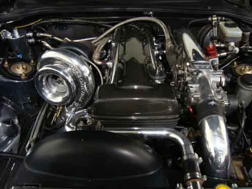 Mẫu Playboy mất cắp siêu xe 1.165 mã lực - 6