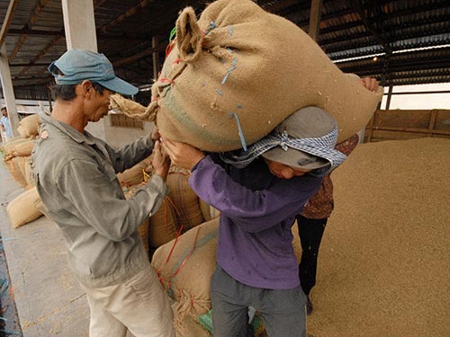 Xuất khẩu gạo 2013: Hạn chế hủy hợp đồng từ TQ - 1