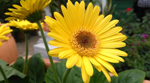 OPPO Find 5 sở hữu Camera “khủng” - 9