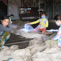 Tin tức trong ngày - Kỳ lạ "làng không cửa" ở Cà Mau