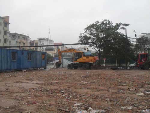 Bảo tồn húng Láng: “Cứu” nổi không? - 3