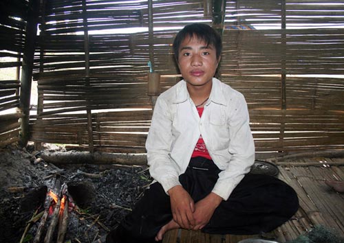 Những bông hồng ép nở - 2