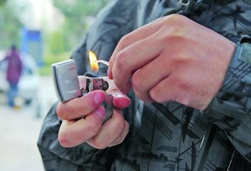 Phát hoảng, cá giả làm từ nhựa - 2