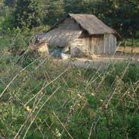 Tin tức trong ngày - Ở nơi xa nhất và nghèo nhất thủ đô