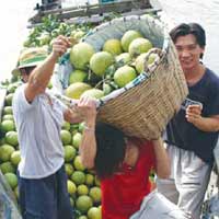 Thị trường - Tiêu dùng - Cận Tết, trái cây sốt giá