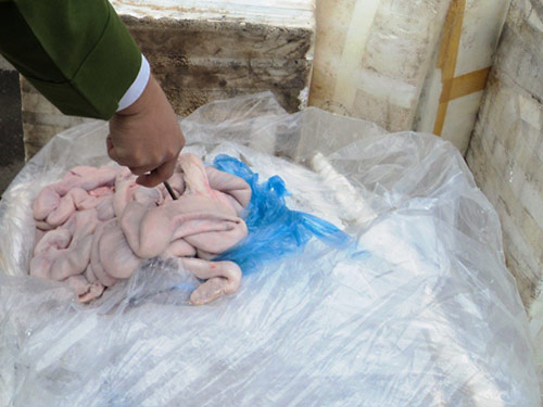 Gần 20 thùng lòng thối "cưỡi" xe khách về HN - 2