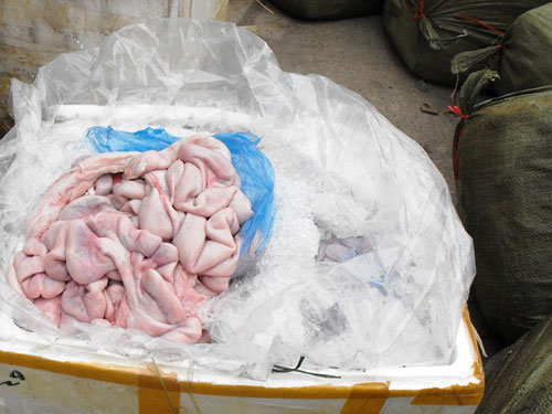 Gần 20 thùng lòng thối "cưỡi" xe khách về HN - 3