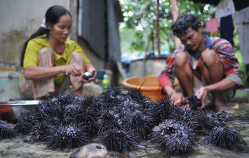 Ra đảo Ngọc ăn nhum - 3