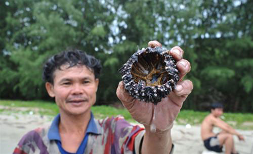 Ra đảo Ngọc ăn nhum - 6