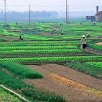 Tài chính - Bất động sản - Sửa Luật Đất đai: Bớt ưu tiên Nhà nước