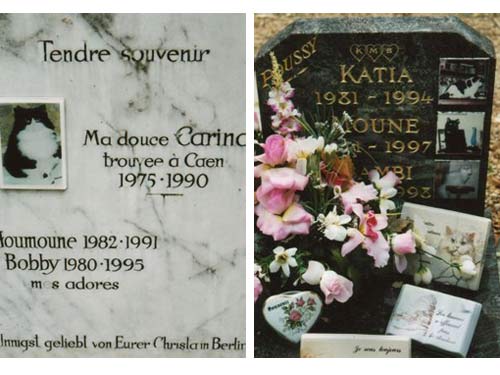 Nghĩa trang thú cưng nổi tiếng Hollywood - 5