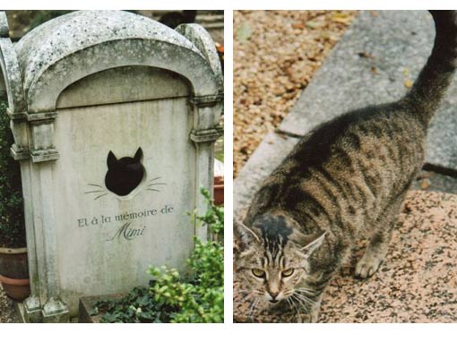 Nghĩa trang thú cưng nổi tiếng Hollywood - 6