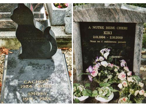 Nghĩa trang thú cưng nổi tiếng Hollywood - 9