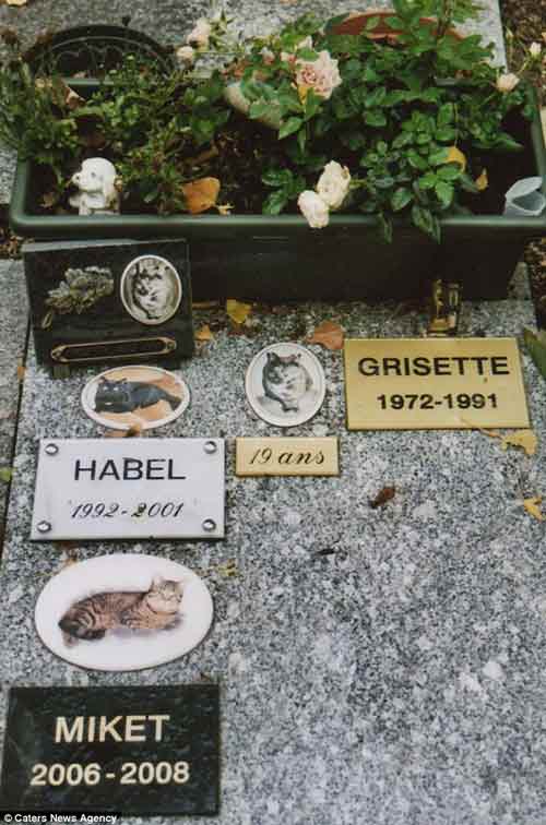 Nghĩa trang thú cưng nổi tiếng Hollywood - 8