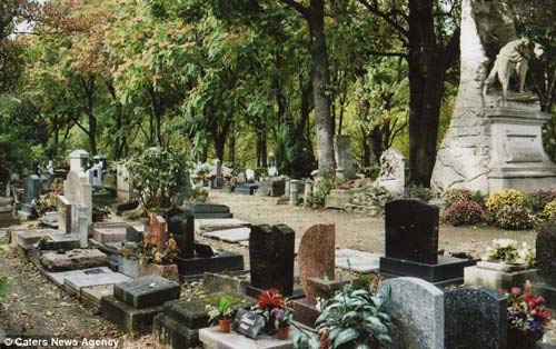 Nghĩa trang thú cưng nổi tiếng Hollywood - 2