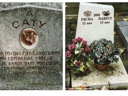 Nghĩa trang thú cưng nổi tiếng Hollywood - 3