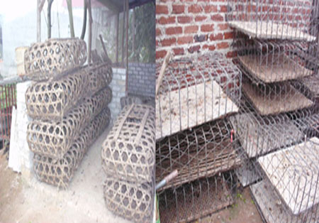 Bắt đầu gắn tem "chính chủ" vào… lồng gà - 2