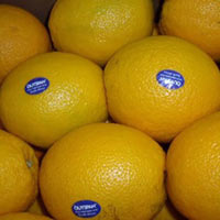 Thị trường - Tiêu dùng - Cam Trung Quốc đẹp mã nhờ phẩm màu