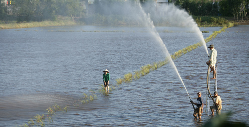 Cá lên bờ: Bộ phim đậm chất miền Tây - 6