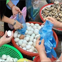 Sức khỏe đời sống - Nỗi lo trứng giả gây bệnh thời "bão giá"
