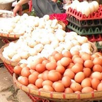 Thị trường - Tiêu dùng - Điều tra xử lý việc tăng giá trứng gà