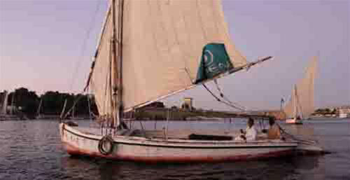 Những cánh buồm sóng sánh hoàng hôn - 4