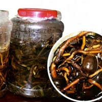 Sức khỏe đời sống - “Biệt dược phòng the” khuynh đảo quý ông HN