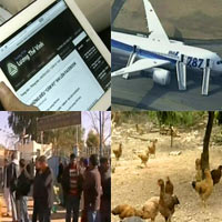 Tin tức trong ngày - Cục Sở hữu trí tuệ cấp tem cho “Gà đồi Yên Thế” (Tổng hợp tin HOT 19/1)