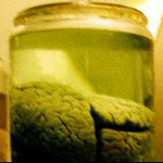 Sát nhân mang đầu óc bác học (Kỳ 7)