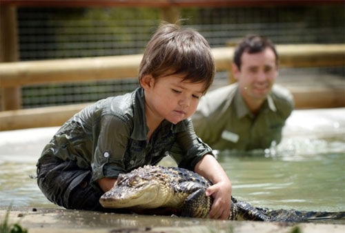 Bé trai 3 tuổi thích chơi với cá sấu - 1