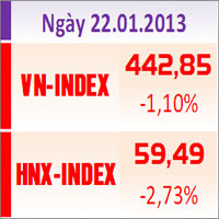 Sàn GD Hà Nội - TTCK chiều 22/1: Nới rộng đà giảm
