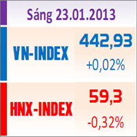 Sàn GD Hà Nội - TTCK sáng 23/1: Thanh khoản sụt giảm