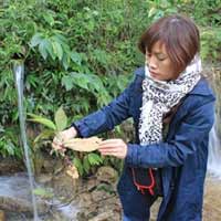 Tin tức trong ngày - Kỳ lạ suối biến cây thành đá giá triệu đô