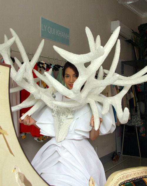 Trương Ngọc Ánh tái xuất choáng ngợp - 6