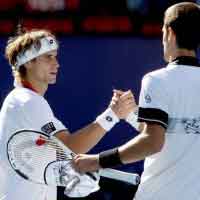 Thể thao - Djokovic - Ferrer: Lực bất tòng tâm (BK Australian Open)