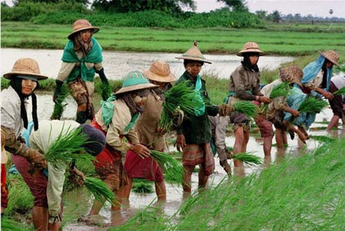 Khám phá các “mỏ vàng” của Myanmar - 10