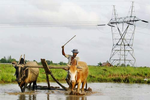 Khám phá các “mỏ vàng” của Myanmar - 11