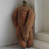 Sự quyến rũ sexy - 7