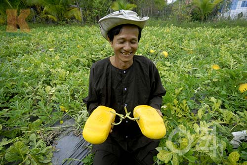 Hốt bạc tỷ từ dưa Mercedes, bưởi chữ nổi - 5