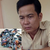 Tin tức trong ngày - "Đập chết cả đàn gà là tàn nhẫn!"