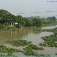 Pháp luật - Gã chồng vũ phu sát hại vợ vì ghen