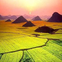 Du lịch - Lung linh 7 cánh đồng hoa cải đẹp nhất Trung Quốc