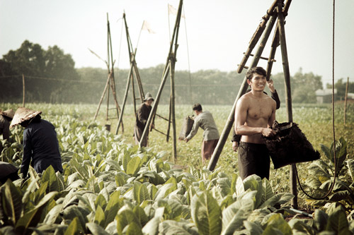 Ngọc Tình lực lưỡng với vai lực điền - 11