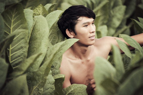 Ngọc Tình lực lưỡng với vai lực điền - 1