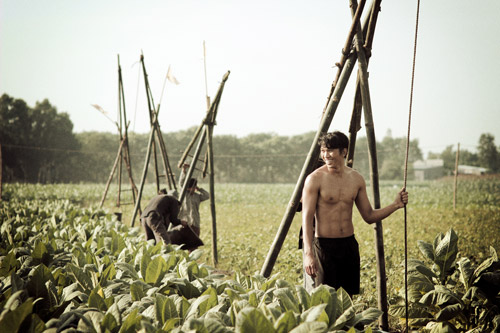 Ngọc Tình lực lưỡng với vai lực điền - 8